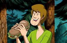 shaggy scooby doo incorporated rogers