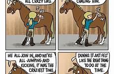 pferde ryda jokes