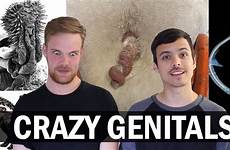 genitals nature found hermaphrodite genitalia craziest weird facts odd