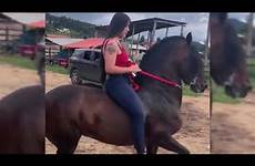 compilation horse perfect paso fino ride