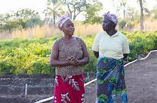 women zambian zambia farmers vegetables davis who indigenous grow meet vegetable videos field their uc brenda dawson horticulture