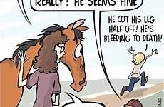 paarden equestrian owner lustige pferd grappige equine pferde sedatives equimed