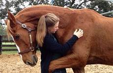 horses hugs friendship finally
