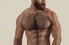 bearded hunks beard handsome beards muscular scruffy