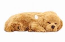 perfect petzzz retriever golden puppy toys dog