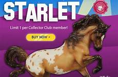 starlet collector club breyer special web connemara mare mold exclusive painted members april