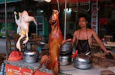dog meat china problem
