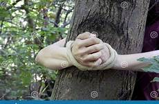 tied legata albero foresta