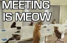 gif meeting meetings gifs meow webdevstudios tenor