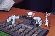 pinky animaniacs typing