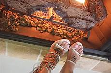 chyna feet blac wikifeet