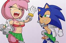 hentai comic sonic amy rose commission theotherhalf half other xxx hedgehog rape sonar furry pussy foundry fennec rule34 underwear anthro