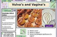 vulva vagina pshe pptx