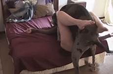 dog wife sex woman xxx fucking fucked dane great video pet videos caught fucks hidden camera pussy big homemade amateur