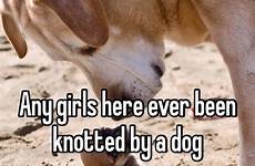 dog knotted girls ever been whisper