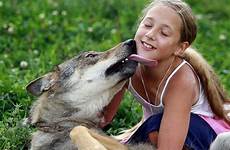 wolves family wolf children russian tamed girl playing russia animals took who pack young dog august really living video village