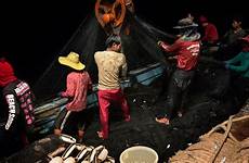 slaves human fishing livestock sea pets thai pet food slavery feed labor nets boats china feeds misery thailand men fish