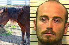 horse sex man rape gets miniature woman easley steven eric years his jail guilty huffpost raping