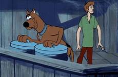 scooby doo face desicomments entries