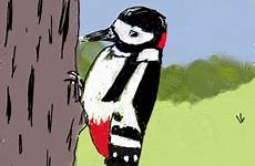 woodpecker pecking