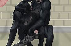 bonobo erection chimpanzee