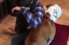 dog humping humps rescuer his very got first year old who excited hilarious moment during