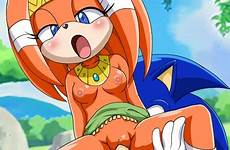 sonic hentai sex rouge bat wave tikal xxx unleashed echidna mobius female tails hedgehog girl sweet deletion flag options tumblr