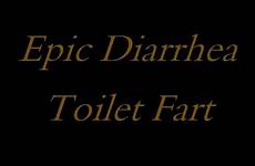 diarrhea toilet fart epic