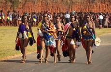 dance swaziland reed african girls virgin zulu virgins beautiful africa beauty folk women swazi tribal natal maidens girl xhosa kwazulu