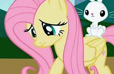 fluttershy gif mlp pony little club nervous background ponies friendship wallpaper comic fanpop gifs equestria twilight sparkle girls
