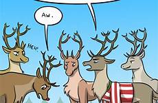 reindeer katraccoon