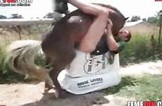 horse fucks cums zoo guy blowjob videos sex extreme its crazy scenes end femefun ago tail months years