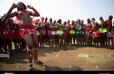 reed zulu dance enyokeni nongoma south palace africa alamy shopping cart
