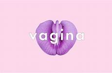 vagina slang definitive muff
