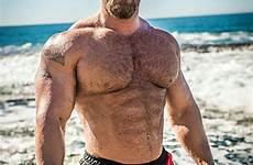 bear muscular male hunks bears shirtless bearded