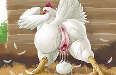 feral hen avian oviposition gaping e621 hens anus broome whoever deletion lives break presenting