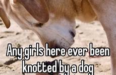 dog knotted ever girls been