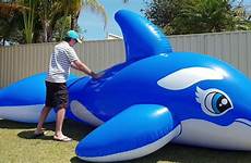 inflatable whale ride blue short