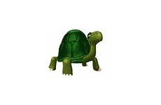 turtle gif animated walking gifs animals animation personality kca endorsements pinoy mendoza maine fave queen thread animations turtles