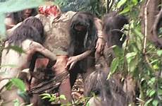 gif cannibal holocaust 1980 tumblr gore penis castration cock nsfw animated ruggero deodato