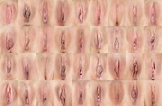 different types shapes vulva vagina sizes vigina collage lips pussy shape female men viginas lip vjj important mature sexinfo reproductive
