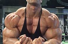 morphs bodybuilders bodybuilding bulging hardtrainer01 muscles worship flexing swole