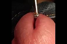 penis xvideos antenna urethra small