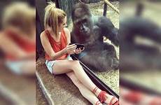 gorillas baby gorilla zoo videos lindsey costello her captivated louisville enjoying friend