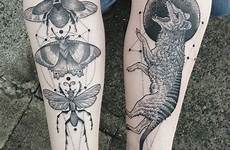 tattoo tatuagem tattoos nature insect old tatuagens beetle escolha pasta antebraço arm choose board