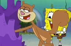 cheeks spongebob squarepants nickelodeon humping squirrel furries parody sorted licking luscious rodent tbib