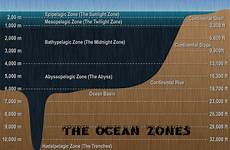 ocean zone abyss light many layers sea deep january