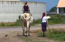 cow cen trains teenage cowgirl ridden horse viraltab credit
