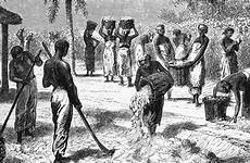 slavery america states united plantation american history during ago old revolution