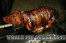 roast pig whole spit bbq pigs cooking pork cook barbecue grill roasts
